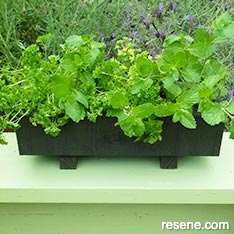 Stain a wooden planter box