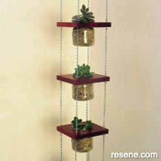 Build an succulent hanging garden