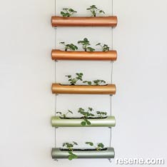 Grow strawberries in a hanging planter