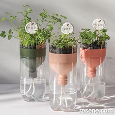 Create self-watering herb planters