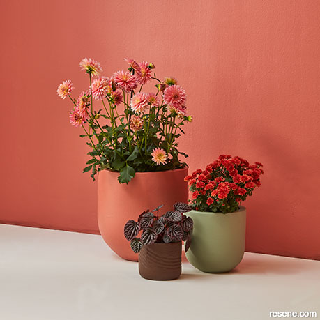 Terracotta pinks are a great addition to an earthy colour palette