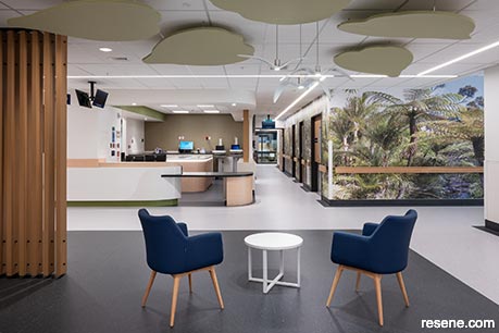 A soothing green hospital interior