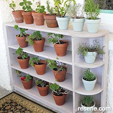 Paint plant shelves