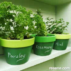 Paint sylish herb pots in hues of Resene greens